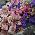 0601Broquet1.JPG