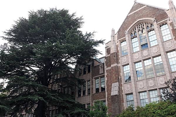 學風佳 校園又奇美的西雅圖華盛頓州立大學 Universit