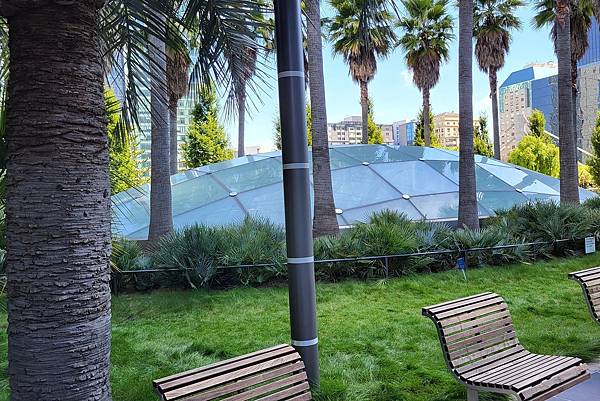 舊金山的新景點 Salesforce公園