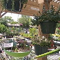 0723Nursery6.jpg