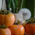 1106Persimmon1.JPG