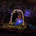 1209XmasLight1.JPG