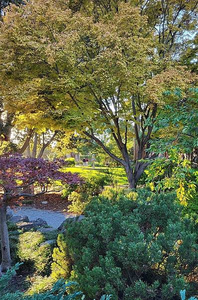 日式風情的 Shinn 花園