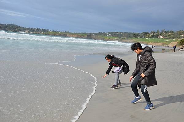 冬日的海灘 @ Carmel-by-the-Sea