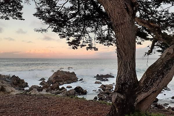 地點適中 值得重返渡假的 Pacific Grove