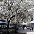 0212Campus1.jpg