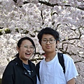 0330CherryBlossom10.JPG