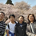 0330CherryBlossom25.jpg