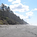 0404Kalaloch7.JPG