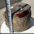 紅皮翡翠玉石原礦五點八公斤一顆 (15).JPG