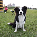 IMG_0613.jpg