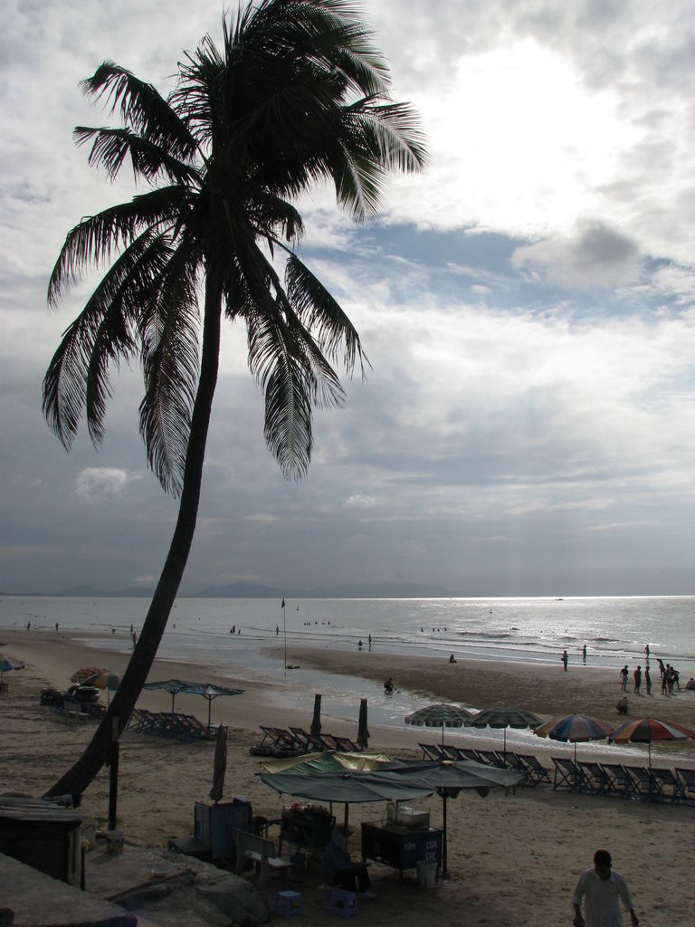 IMG_0546.JPG IMG_0546.JPG