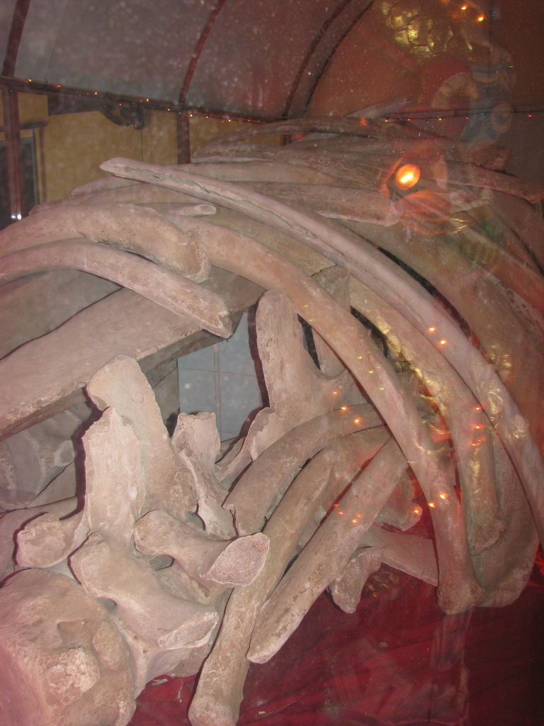 IMG_0669.JPG IMG_0669.JPG