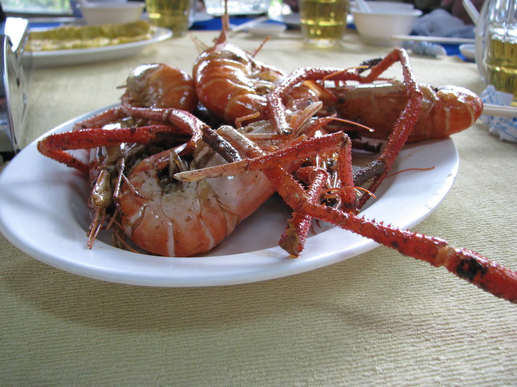 IMG_0675.JPG IMG_0675.JPG