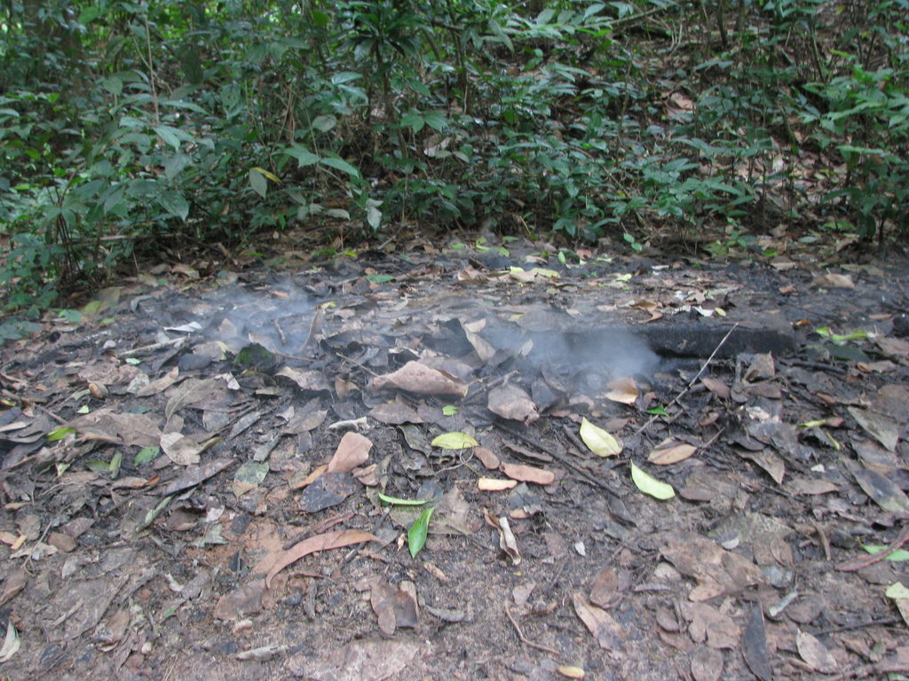 IMG_0946.JPG IMG_0946.JPG