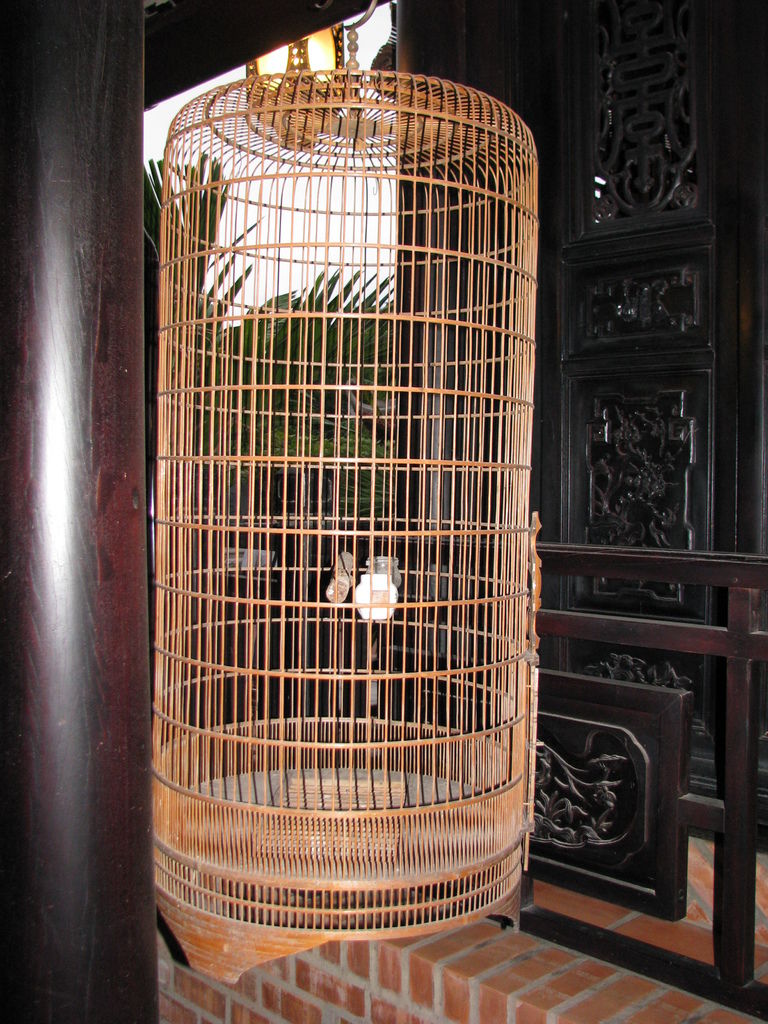 IMG_0986.JPG IMG_0986.JPG