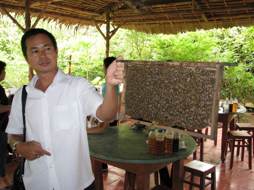 IMG_1102.JPG IMG_1102.JPG