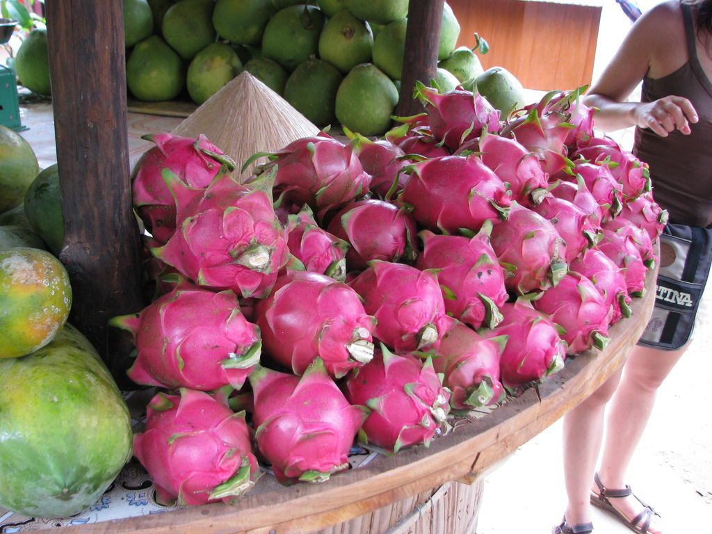 IMG_1107.JPG IMG_1107.JPG