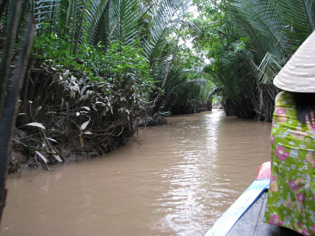 IMG_1140.JPG IMG_1140.JPG