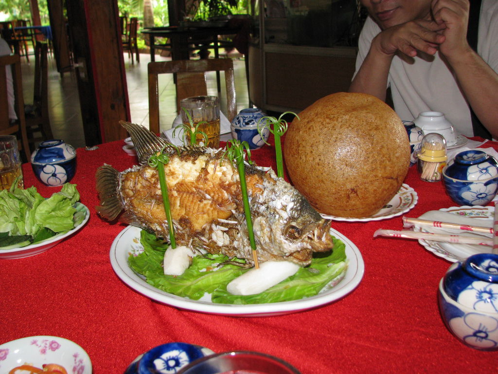 IMG_1141.JPG IMG_1141.JPG