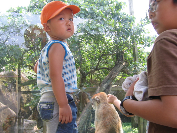 090606-木柵動物園 (17).JPG