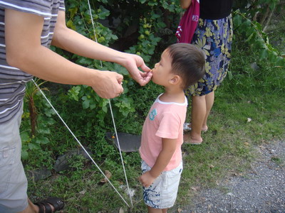 s-100904-06花東 001.jpg s-100904-06花東 001.jpg