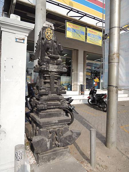 DSCN4602.JPG