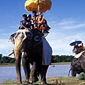 TAT-Surin-Elephant-Ordain_01-500x300.jpg