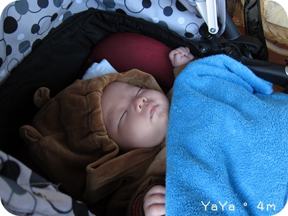 IMG_7026.JPG IMG_7026.JPG