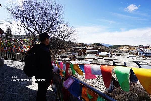 DSC03202.JPG DSC03202.JPG