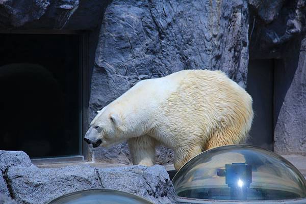IMG_0844.JPG IMG_0844.JPG