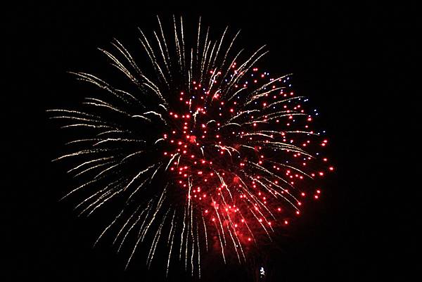 IMG_2310.JPG IMG_2310.JPG