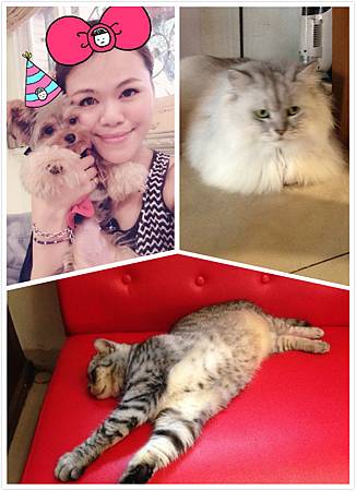 meitu_20141121130921