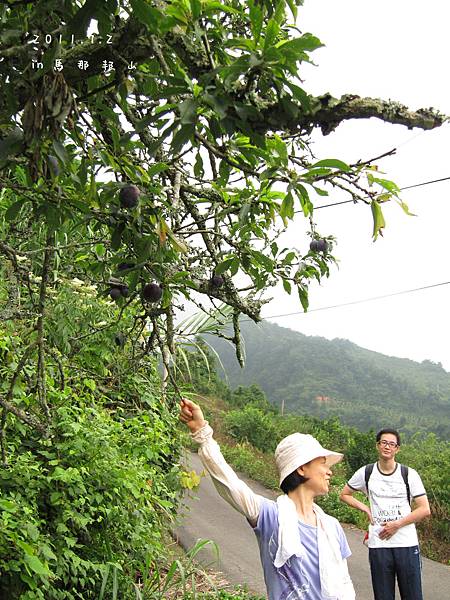 2011/7/2 苗栗馬那邦山斷腿行