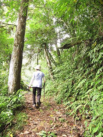 2011/7/2 苗栗馬那邦山斷腿行