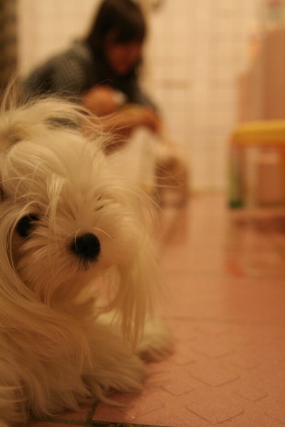 IMG_0015.jpg IMG_0015.jpg