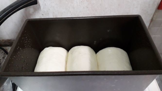 20181213_1.jpg 20181213_1.jpg