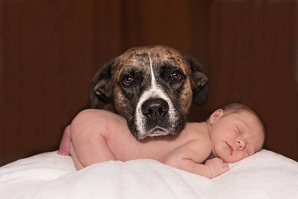 dog and baby.jpg