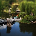 Chinese Gardens.jpg