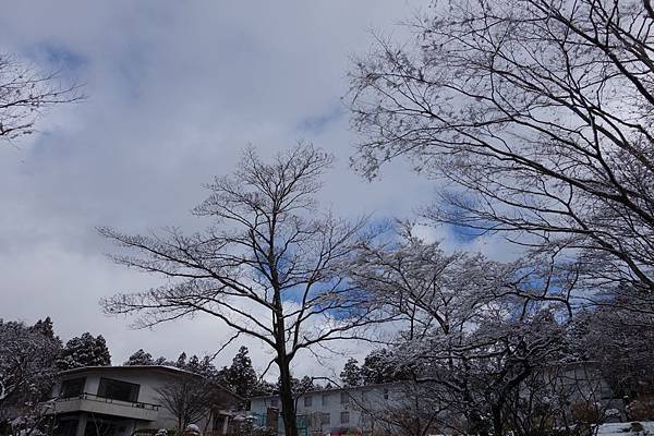 DSC07695.jpg