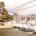 DSC07851.jpg