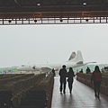 DSC02606.jpeg
