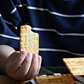 DSC03241.jpeg