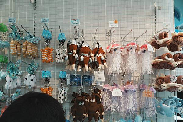 DSC04385.jpeg
