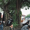 DSC05518.jpeg