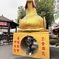 IMG_8281.jpeg