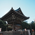 DSC04133.jpeg