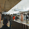 DSC04206.jpeg