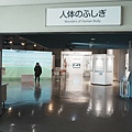 DSC04077.jpeg