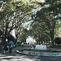 DSC04123.jpeg